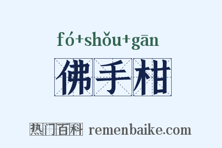 佛手柑是什么意思的图片
